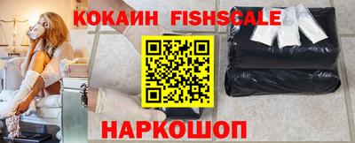 a pvp Камышлов