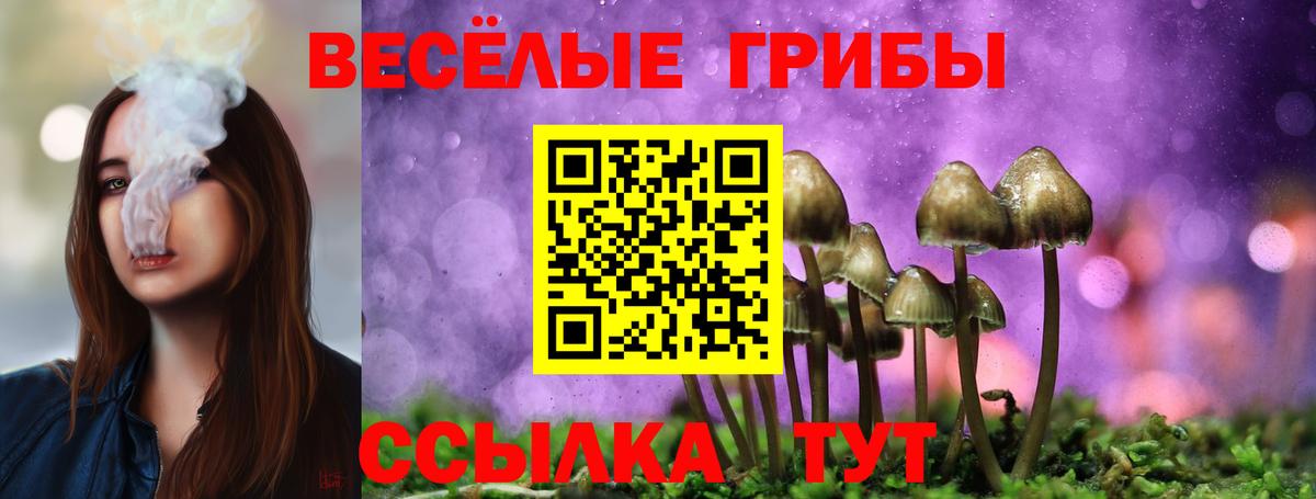 Псилоцибиновые грибы Psilocybe Кумертау